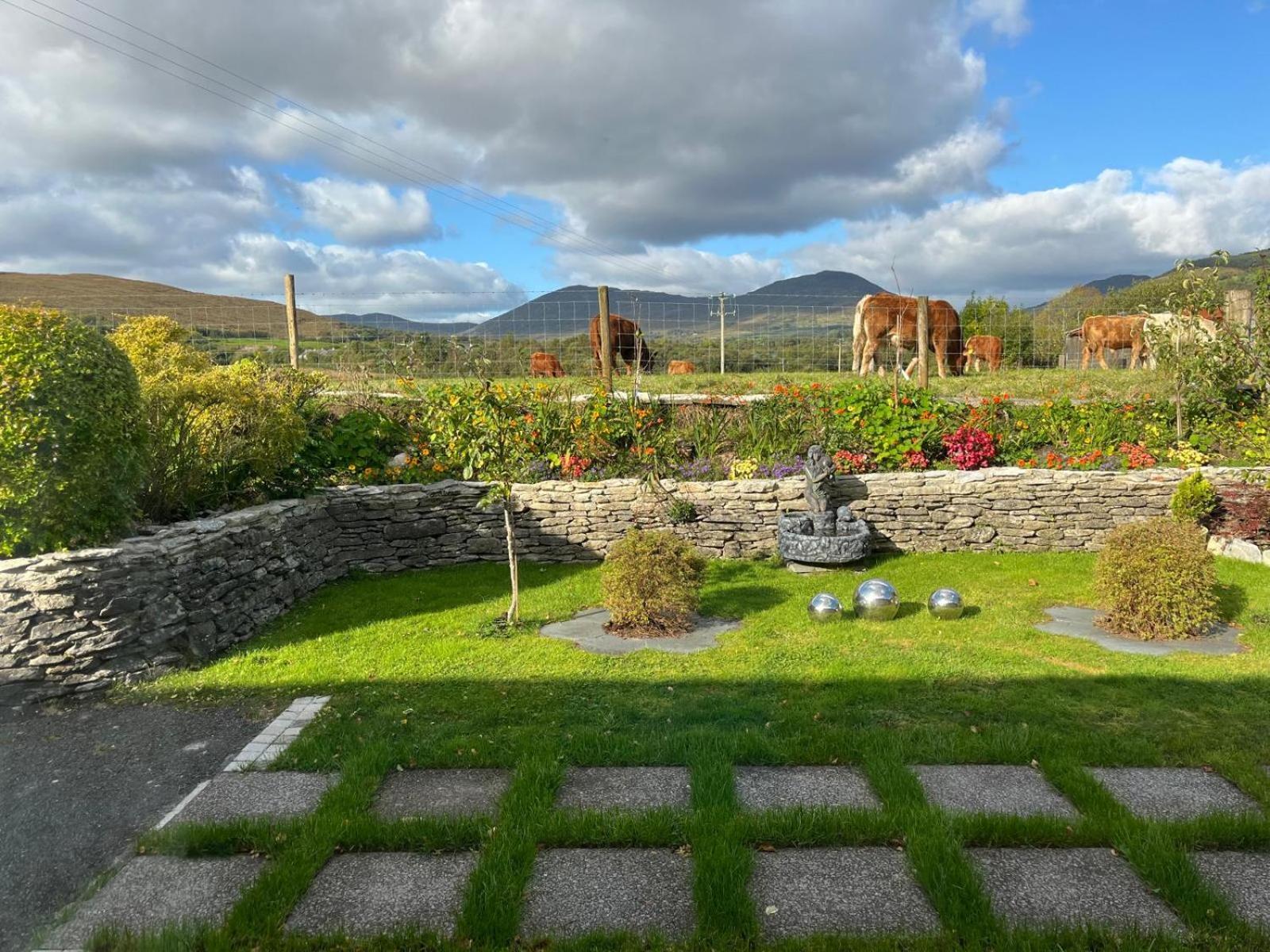 Laburnum B&B Kenmare Ngoại thất bức ảnh